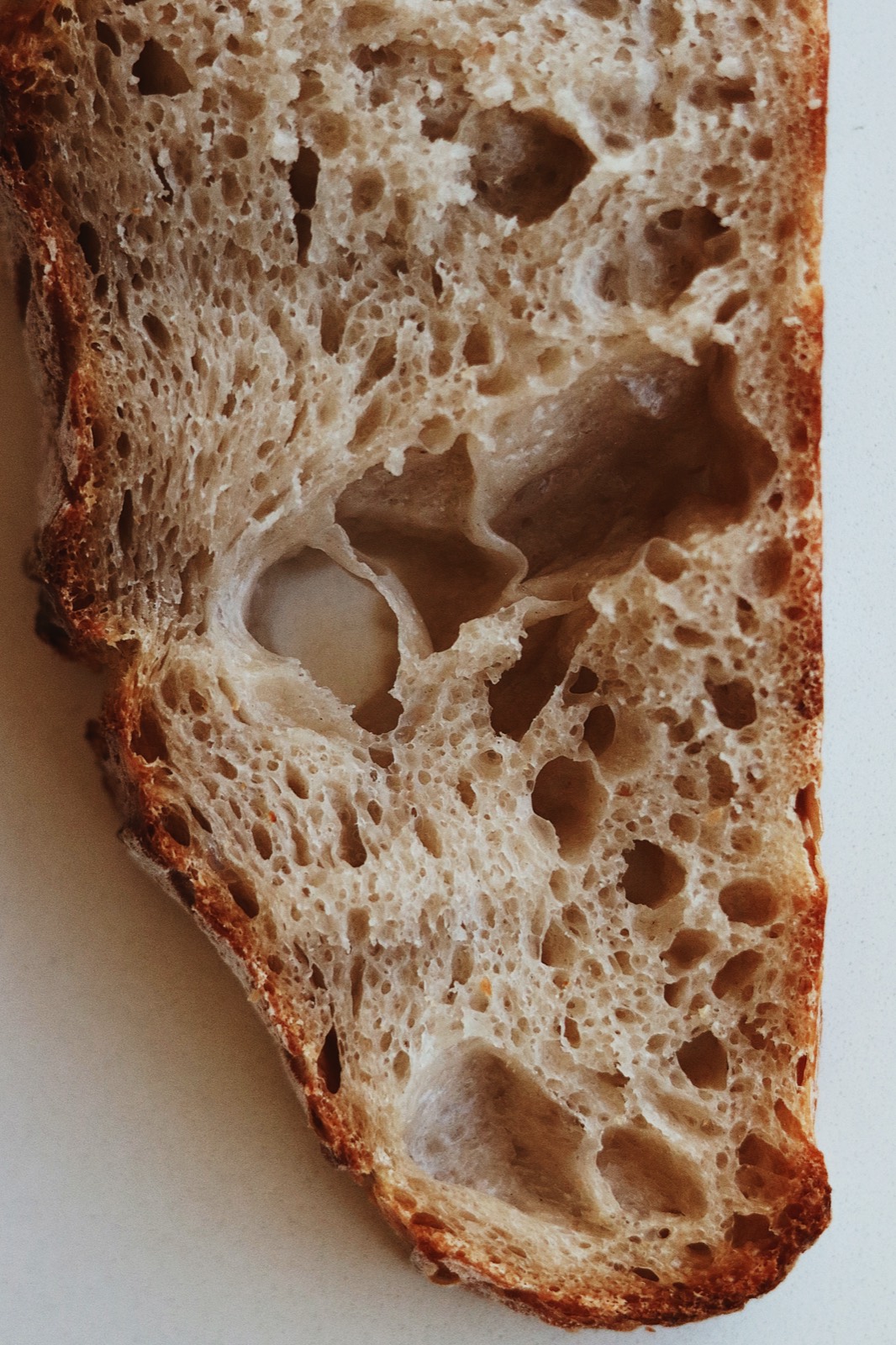 Close-up of an open sourdough crumb with large airy holes